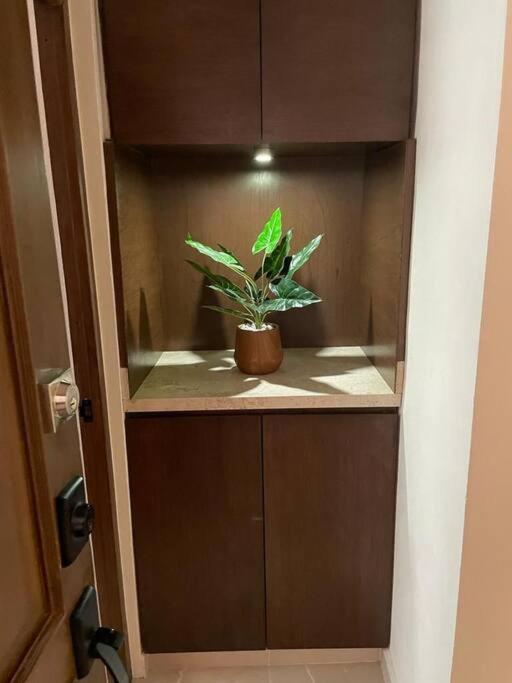 Departamento Centrico Y Moderno En Cancun. מראה חיצוני תמונה